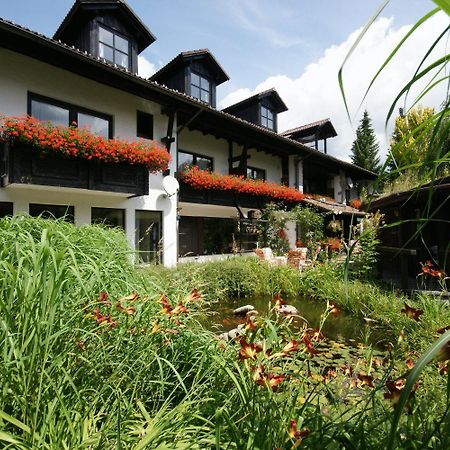 Pension Sonneneck Zwiesel Exterior photo
